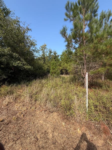 Bartow, GA 30413 Washington County