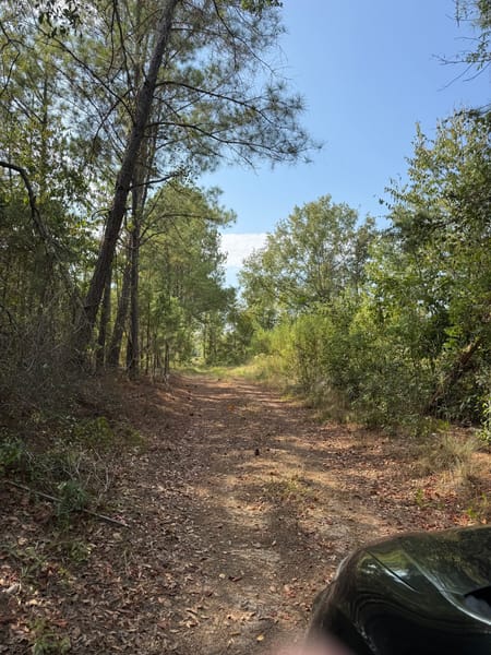 Bartow, GA 30413 Washington County