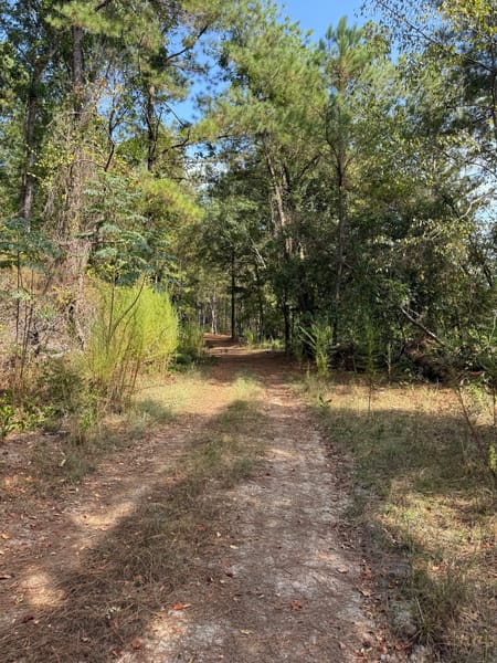 Bartow, GA 30413 Washington County