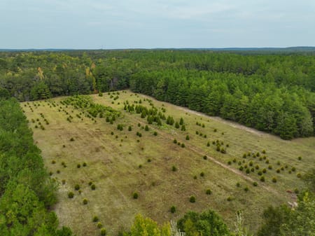 Macon, GA 31217 Twiggs County