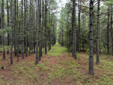 Macon, GA 31217 Twiggs County