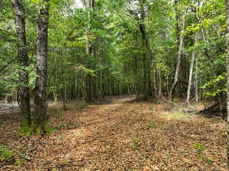 Macon, GA 31217 Twiggs County