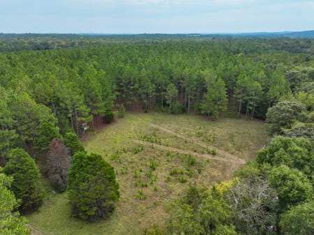 Macon, GA 31217 Twiggs County