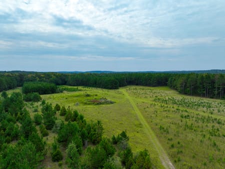 Macon, GA 31217 Twiggs County