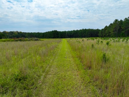 Macon, GA 31217 Twiggs County