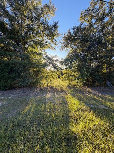 Swainsboro, GA 30401 Emanuel County