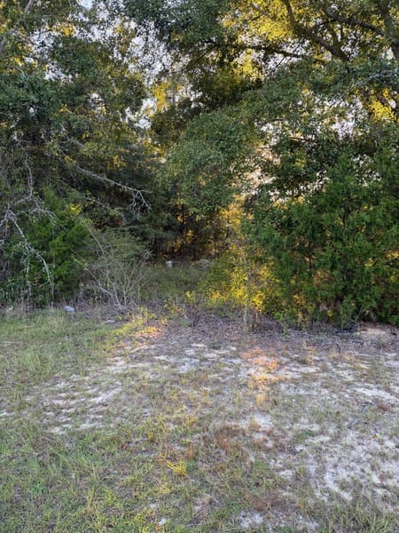 Swainsboro, GA 30401 Emanuel County