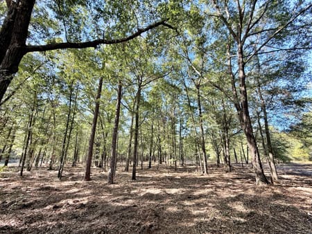 Macon, GA 31217 Twiggs County