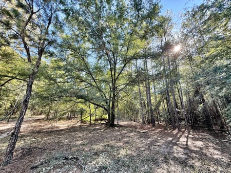 Macon, GA 31217 Twiggs County