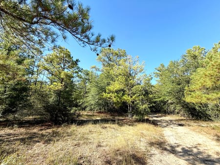 Macon, GA 31217 Twiggs County