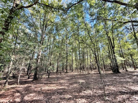 Macon, GA 31217 Twiggs County