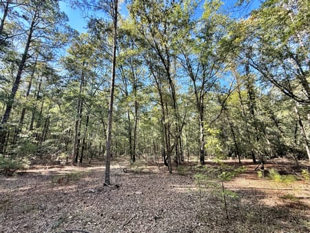 Macon, GA 31217 Twiggs County