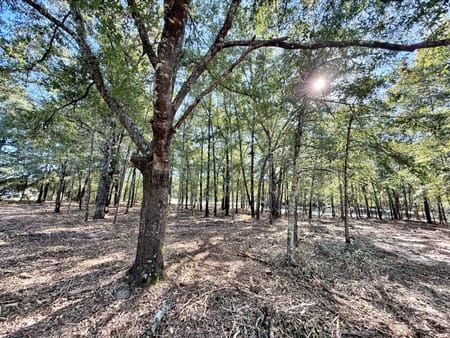 Macon, GA 31217 Twiggs County