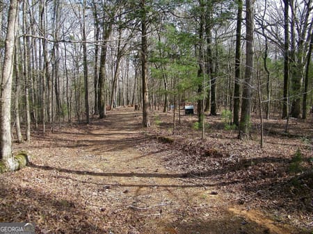 Elberton, GA 30635 Elbert County
