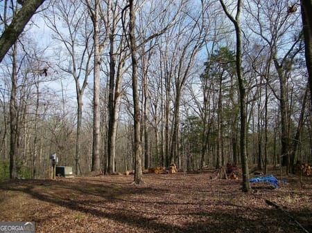 Elberton, GA 30635 Elbert County