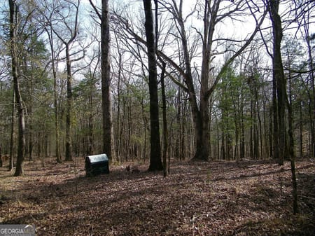 Elberton, GA 30635 Elbert County
