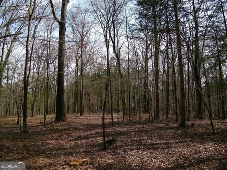 Elberton, GA 30635 Elbert County