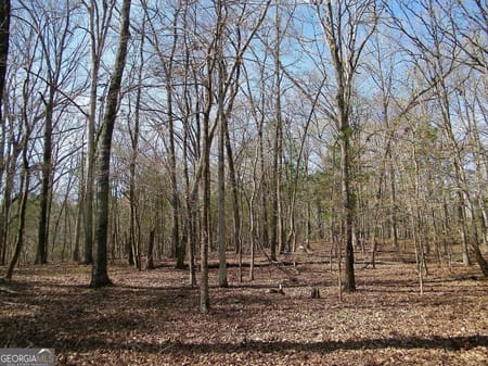 Elberton, GA 30635 Elbert County