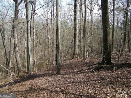 Elberton, GA 30635 Elbert County