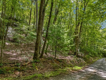 Blue Ridge, GA 30513 Gilmer County