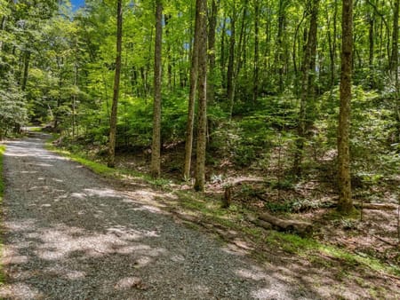 Blue Ridge, GA 30513 Gilmer County