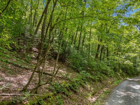 Blue Ridge, GA 30513 Gilmer County
