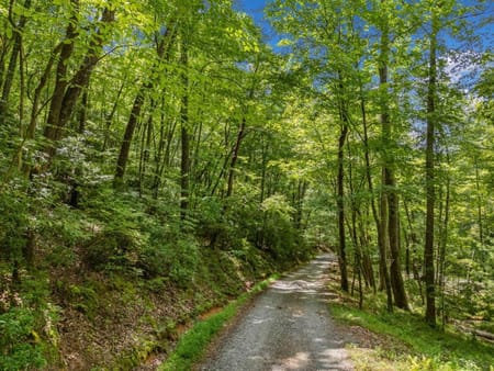 Blue Ridge, GA 30513 Gilmer County