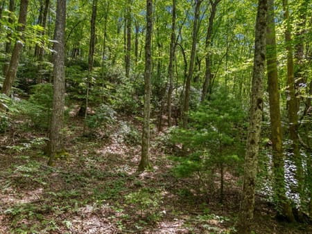 Blue Ridge, GA 30513 Gilmer County