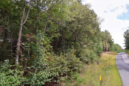Blairsville, GA 30512 Union County
