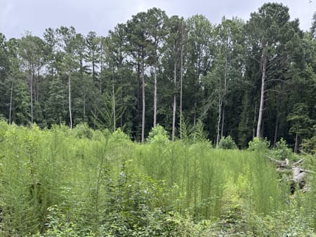 Sharpsburg, GA 30277 Coweta County