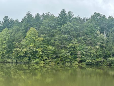Blue Ridge, GA 30513 Fannin County