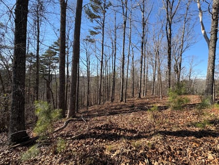 Dawsonville, GA 30534 Lumpkin County