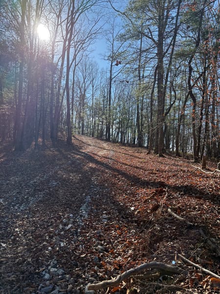 Dawsonville, GA 30534 Lumpkin County