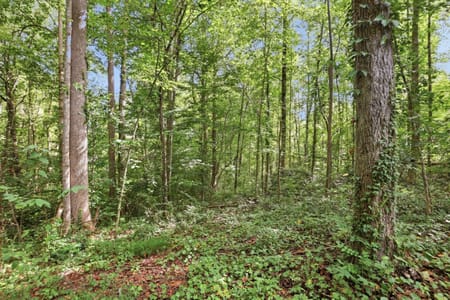 Toccoa, GA 30577 Stephens County