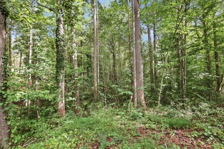 Toccoa, GA 30577 Stephens County