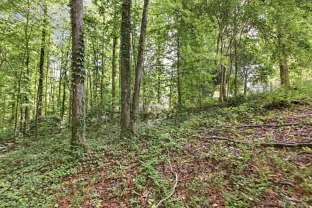 Toccoa, GA 30577 Stephens County