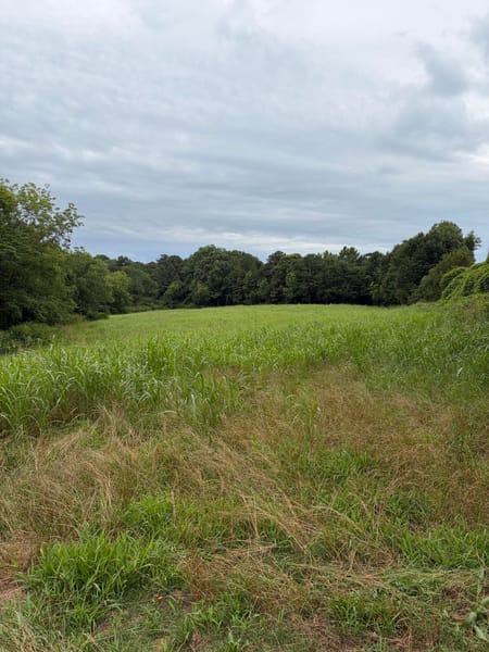 Martin, GA 30557 Franklin County