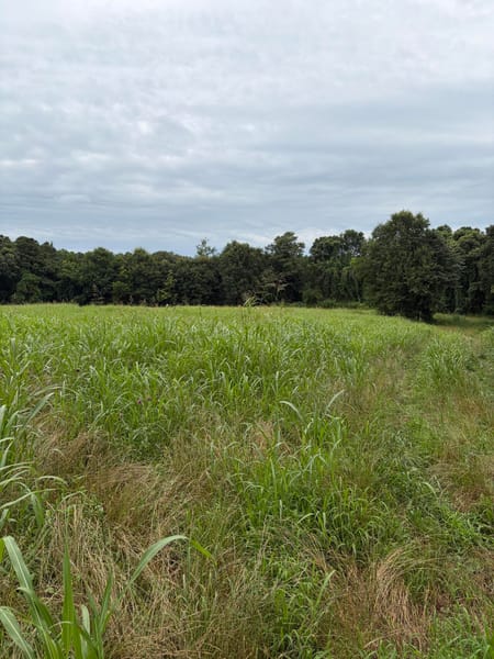 Martin, GA 30557 Franklin County