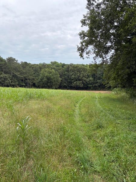 Martin, GA 30557 Franklin County