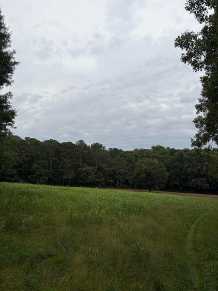 Martin, GA 30557 Franklin County