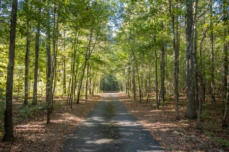 Winterville, GA 30683 Clarke County