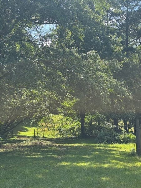 Senoia, GA 30276 Coweta County