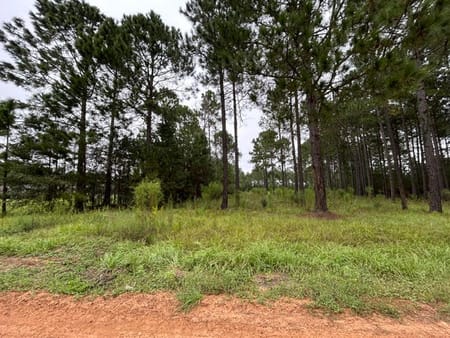 Metter, GA 30439 Candler County