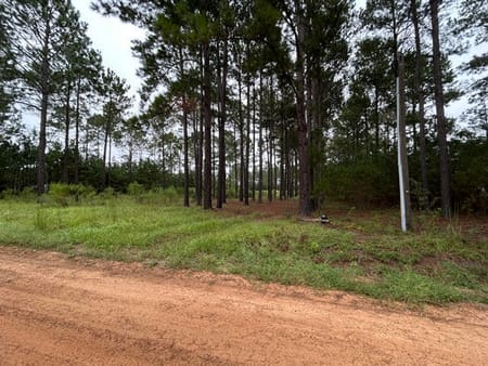 Metter, GA 30439 Candler County