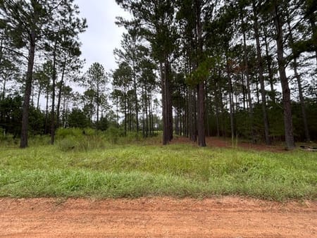 Metter, GA 30439 Candler County