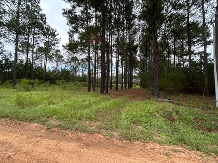 Metter, GA 30439 Candler County