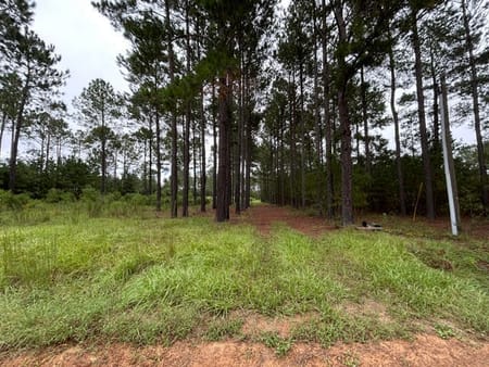 Metter, GA 30439 Candler County