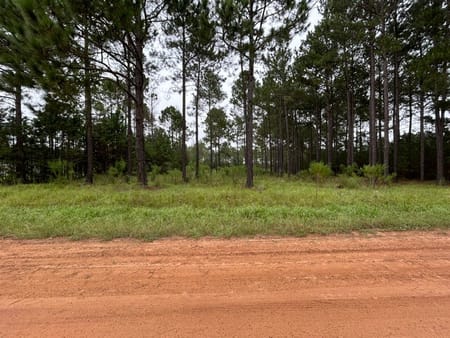Metter, GA 30439 Candler County