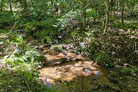 Blue Ridge, GA 30513 Fannin County