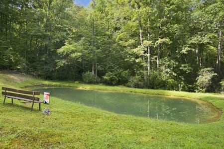 Blue Ridge, GA 30513 Fannin County